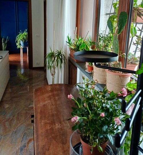 casa privata - Dalmine BG